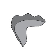 ZAŠTITA ZA BRADU SHARK